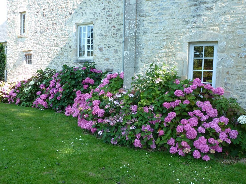 Manoir De Savigny Panzió Valognes Kültér fotó